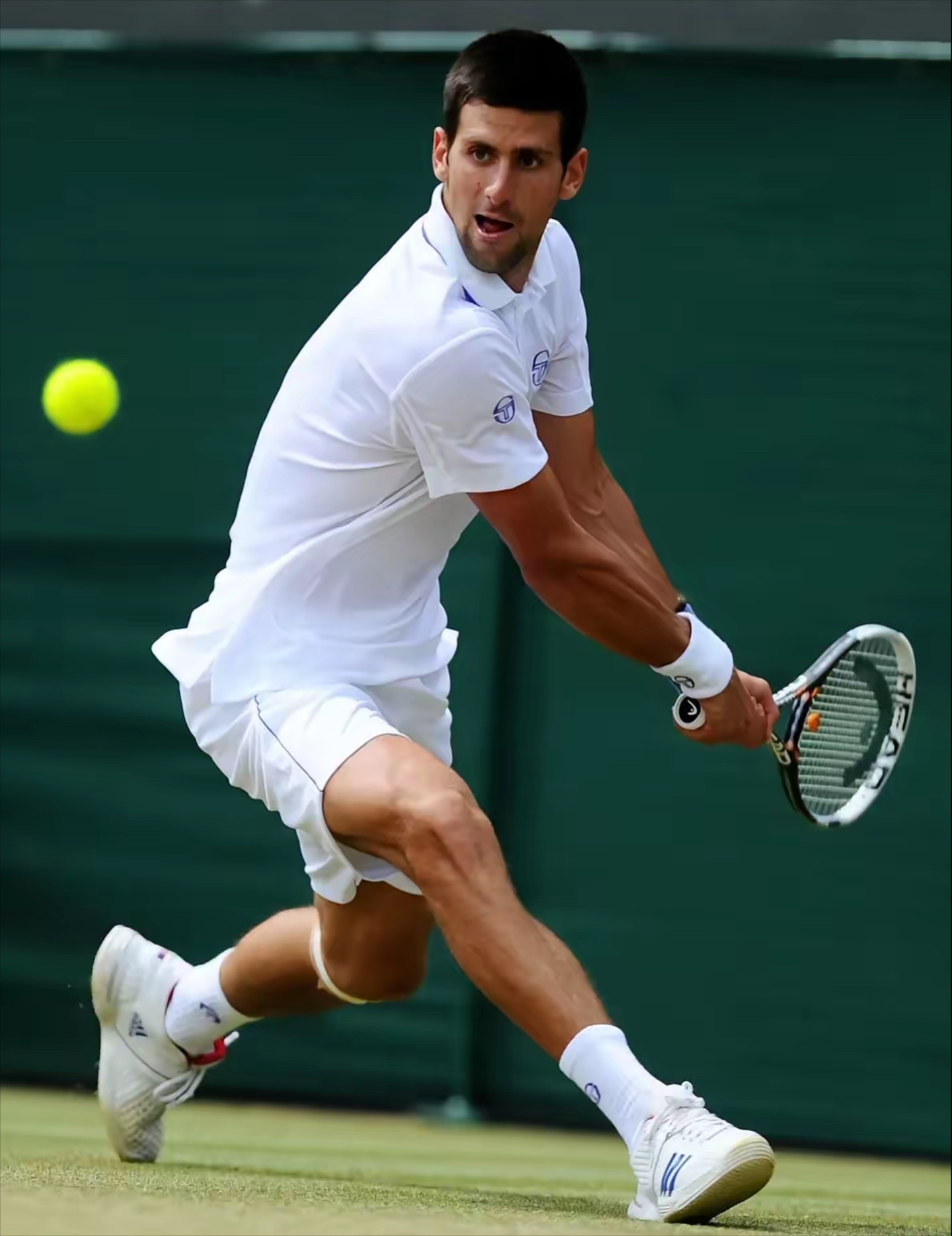 年终总决赛绝杀法网，德约科维奇状态火热