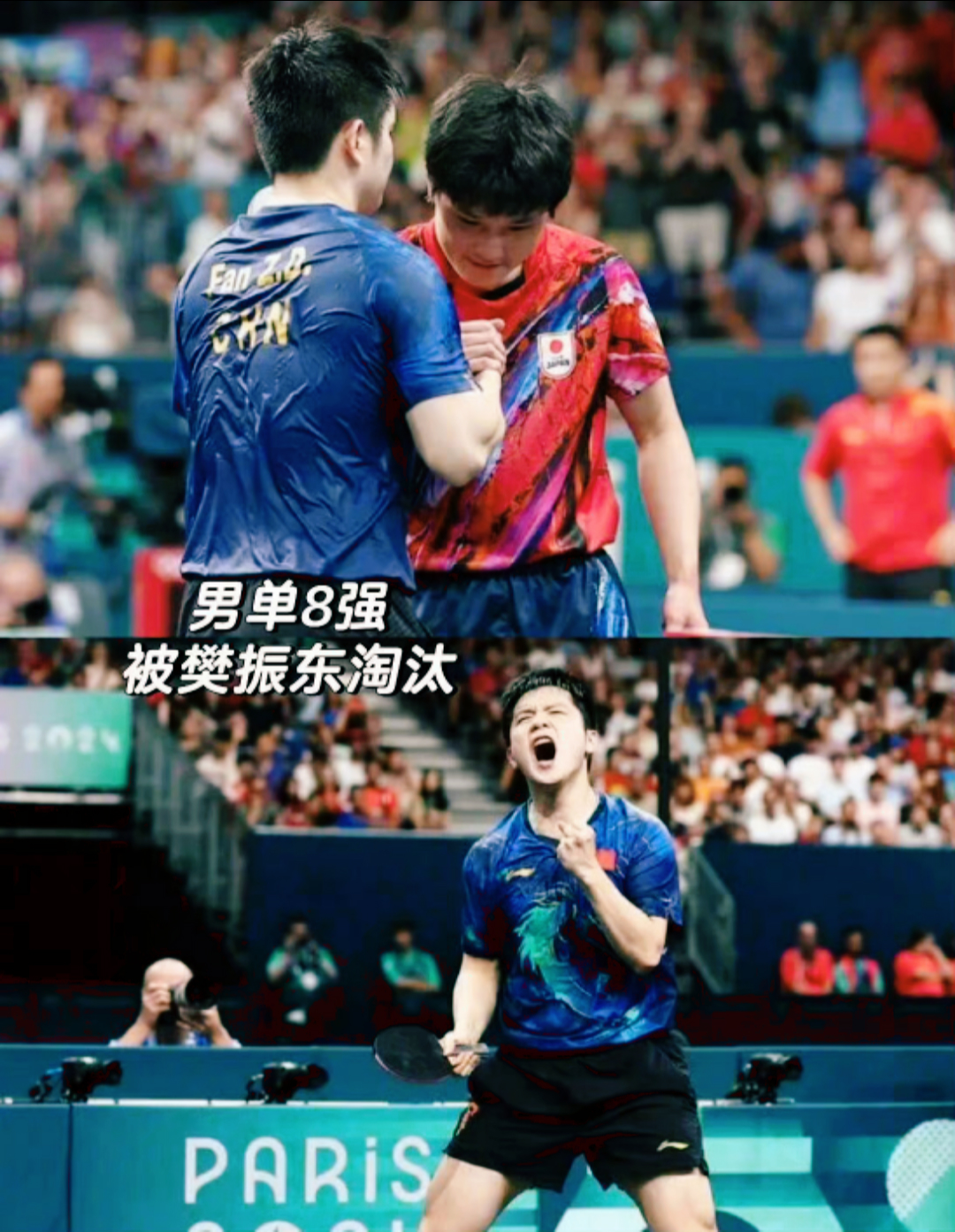 德国队险胜中国队，张本智和高光表现