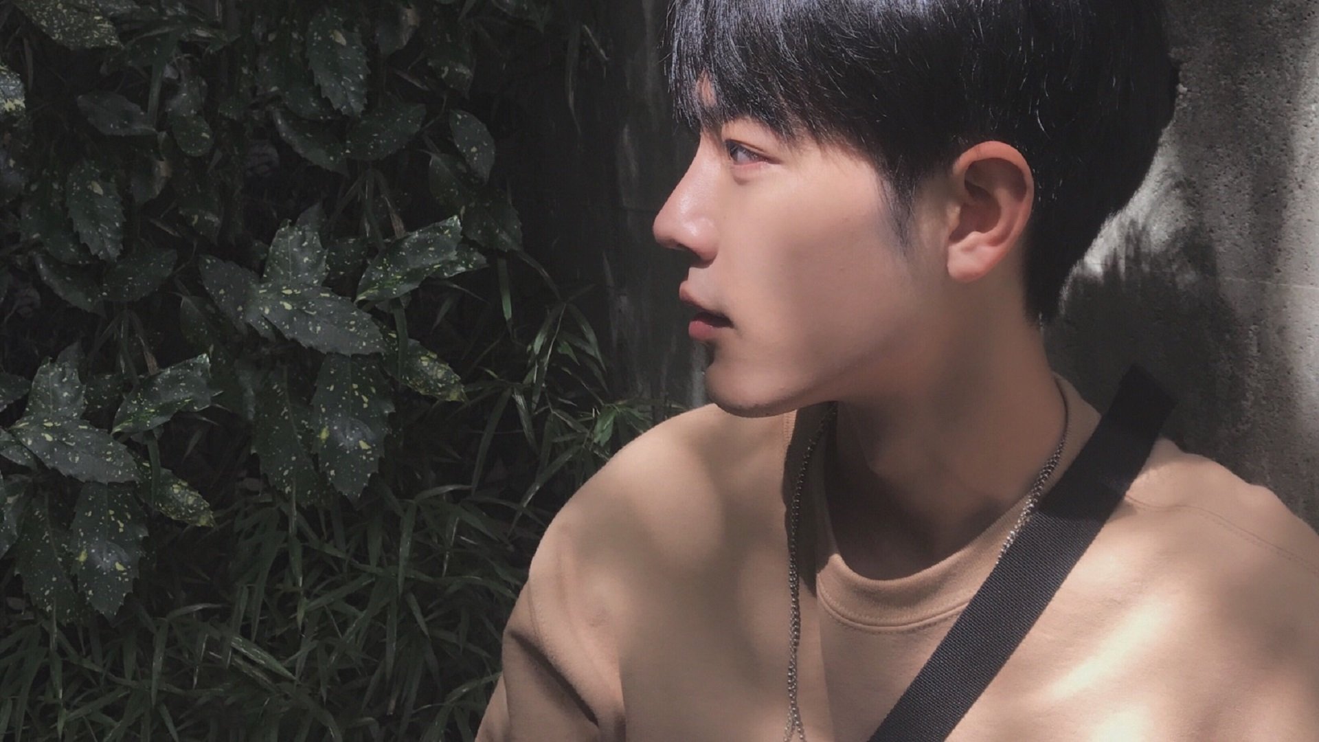 步行者火力压制雄鹿，西亚卡姆成为关键先生，一场战术与意志的胜利