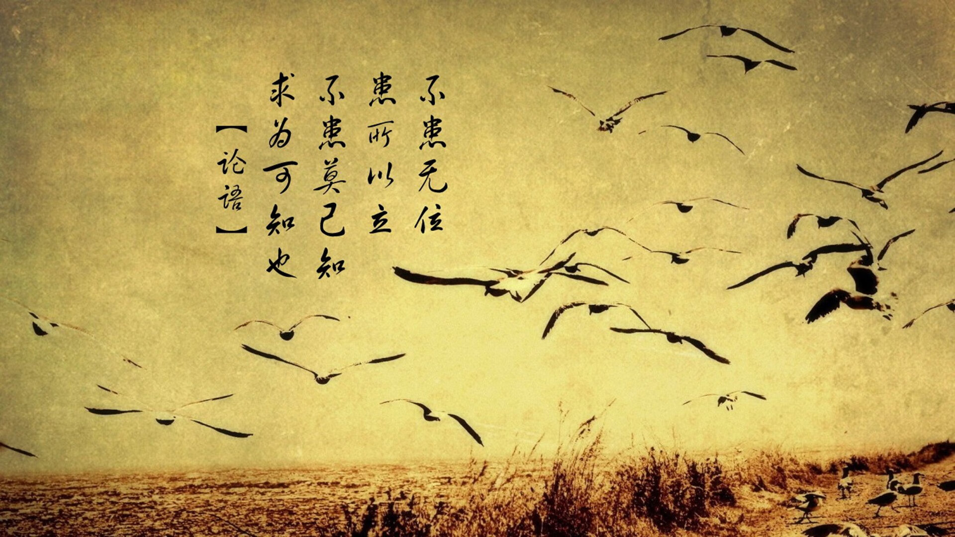 佛罗伦萨绝境突围,布鲁诺一锤定音,皇家社会梦碎淘汰赛