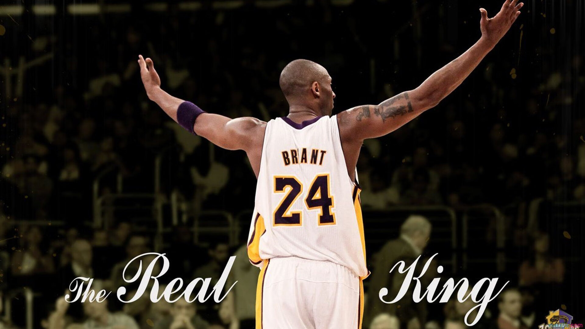 从蒙特卡洛到都灵，辛纳的蜕变之路，大师赛轻取预示ATP总决赛新王当立？